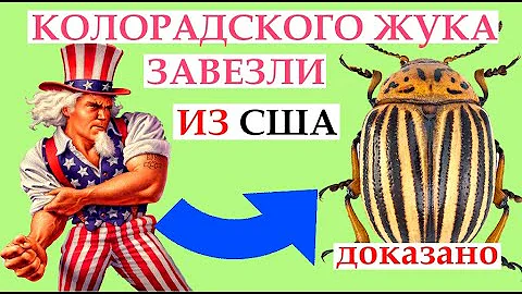 КОЛОРАДСКИЙ ЖУК - это средство США по УНИЧТОЖЕНИЮ урожая стран ЕВРОПЫ | Как избавиться от колорада
