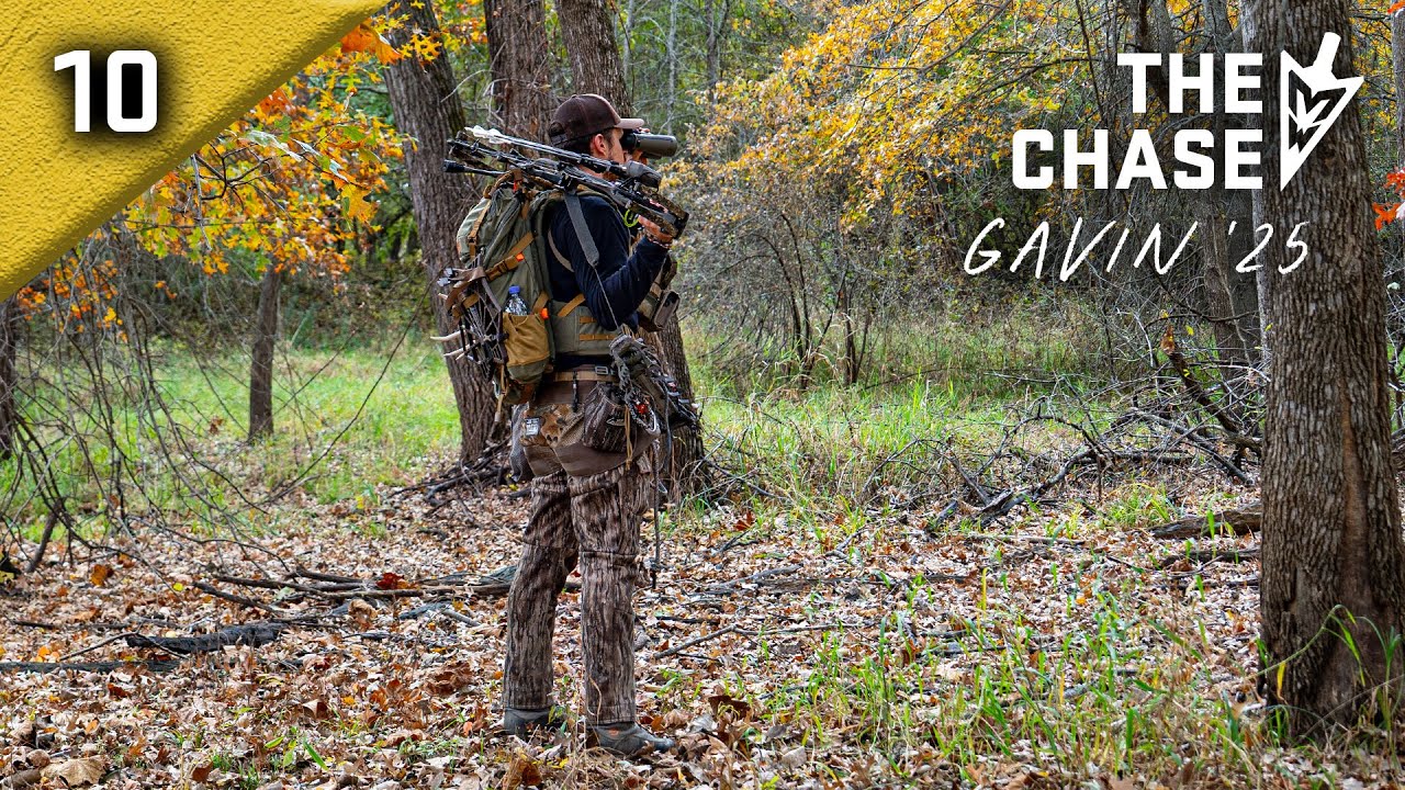 11-6-25: Поиск идеальной воронки гона