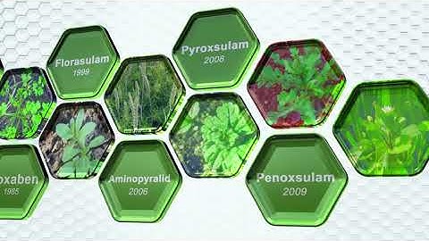 Arylex™ Active   Introduction to Arylex™