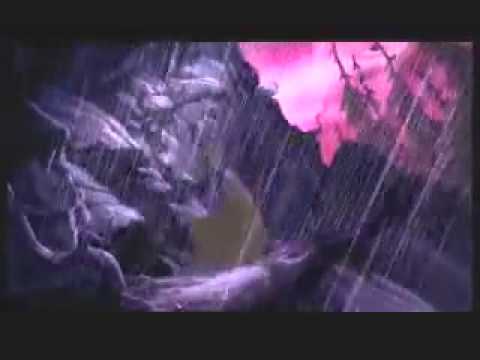 Bambi 2 - Trailer HQ