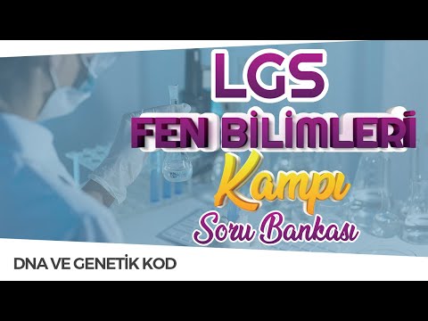 Video: Kaktüs Bitkileriyle Beslenen Kemirgenler: Kaktüsün Kemirgenlerden Korunmasına İlişkin İpuçları