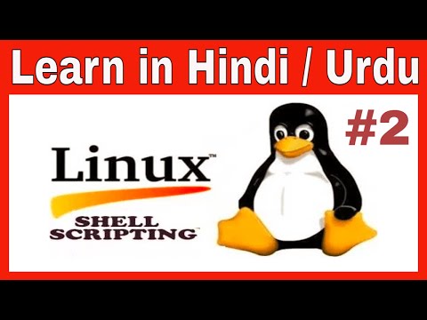 How shell scripting works | How Bash Script write | Learn in Hindi / Urdu