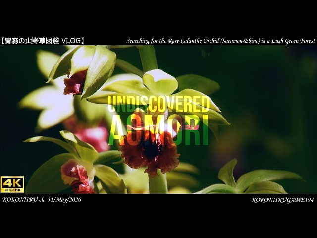 YouTube Music