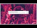 Nicky Romero & Deniz Koyu - Paradise (ft. Walk off the Earth) (Deniz Koyu Festival Mix)