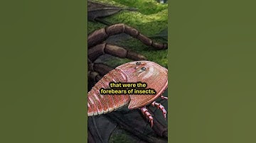 Thumbnail of The Evolutionary Arms Race That Gave Insects Their Wings