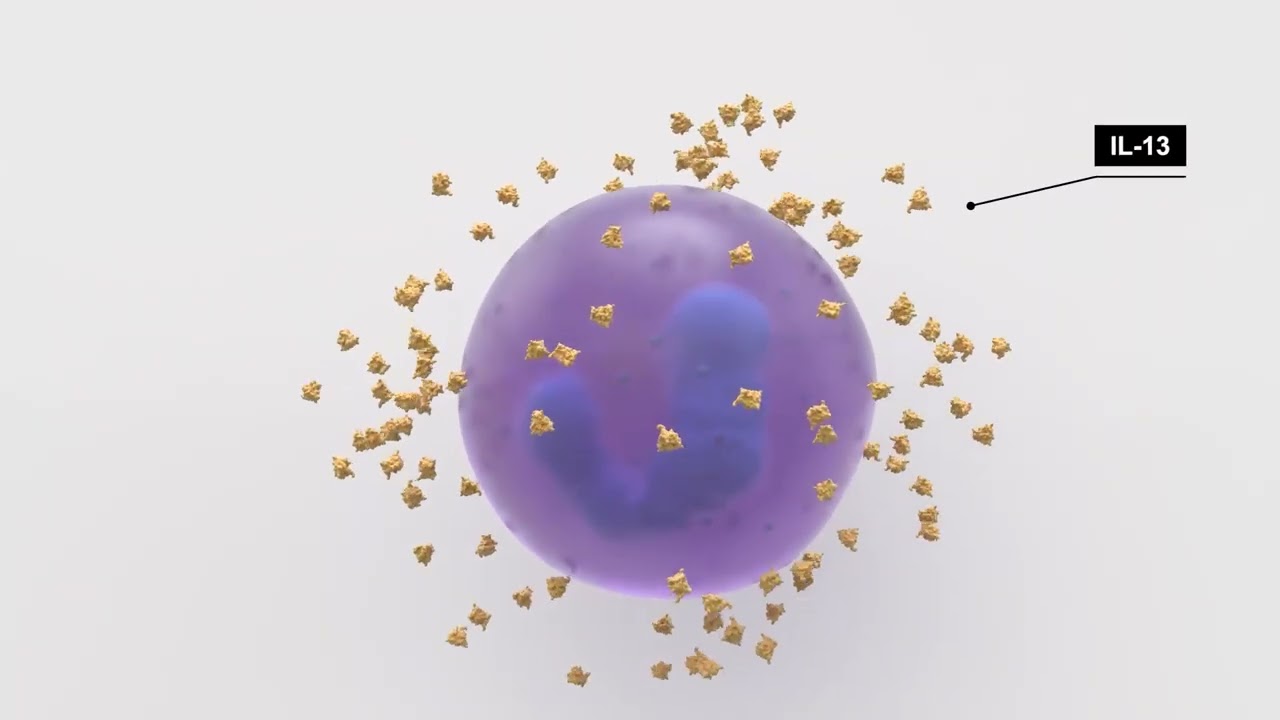 ECHOing Innovation in COPD: Transforming Patient Care With the Use of Targeted Biologic Therapy