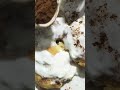 ###food