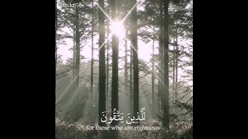تلاوه تأخذك لعالم آخر- الشيخ:عبدالباسط عبدالصمد - رحمه الله