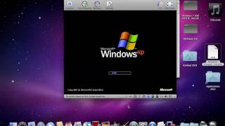 Windows XP Startup screenshot 5