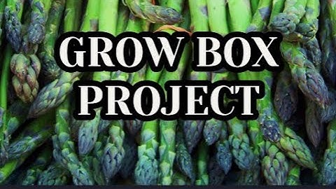 Grow Box Video Report