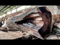 The Most Beautiful Fiber Trembesi Wood Sawing