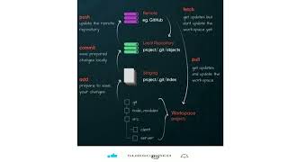 Git Work Flow