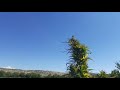 Bekaa Valley fields of cannabis
