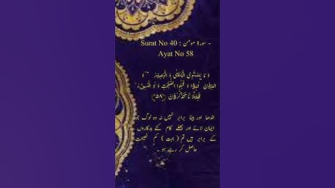Surat No 40 : سورة مومن - Ayat No 58 #viralshort