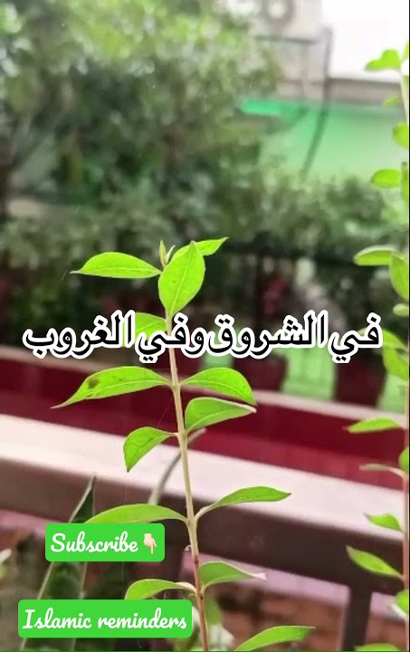 La ilaha illallah Nasheed by Mishary Al Afasy