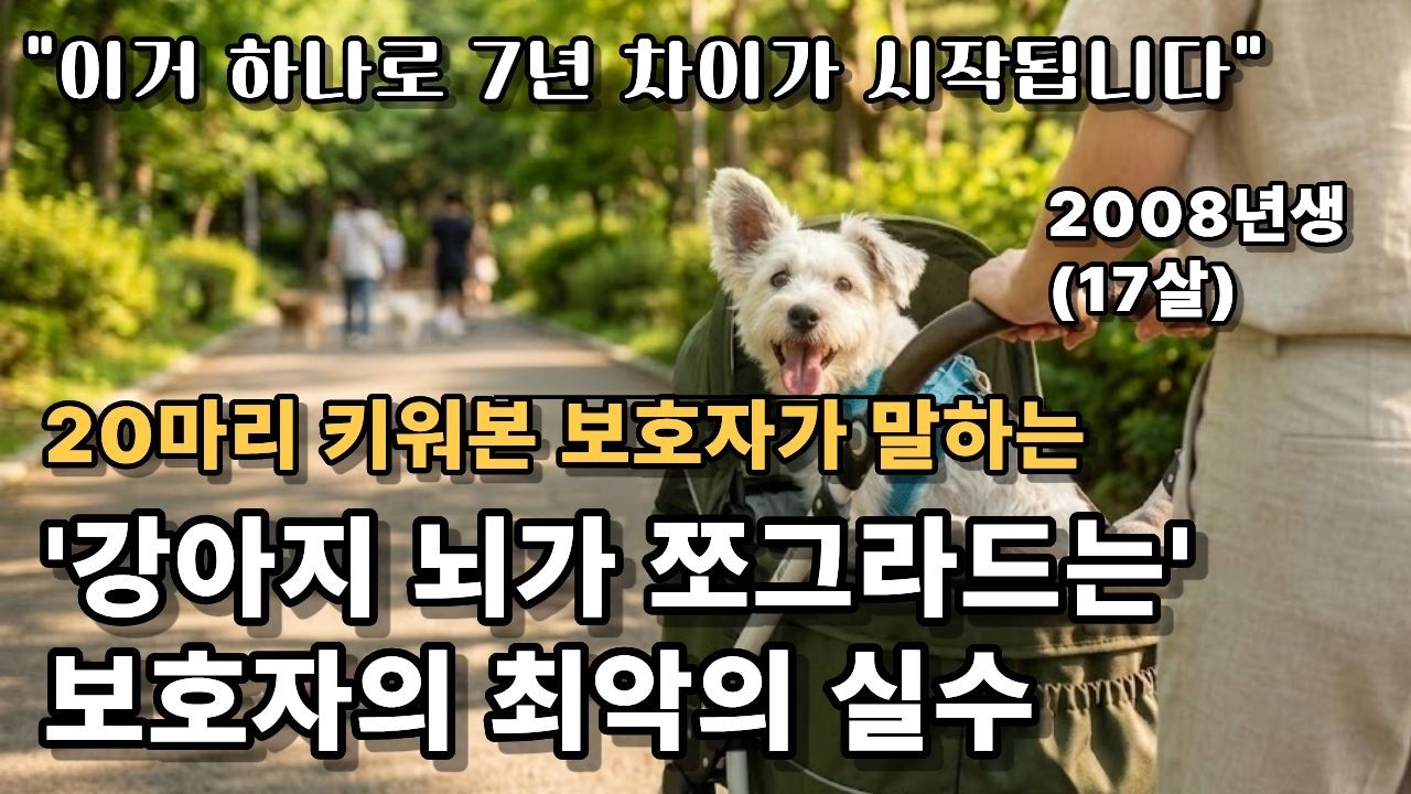 7년 빨리 나이 드는 강아지 특징 "강아지 치매 막고 수명 늘리려면 '이거'부터 시작하세요ㅣ26년차 보호자가 목숨 걸고 매일 하는 것 ㅣ강아지 매트 추천 (통합본)