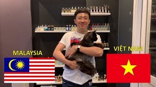 Cùng Trấn Thành, Trấn Xì, và Elsa dự đoán kết quả Việt Nam - Malaysia (15/12/2018) AFF cup Cùng Trấn Thành, Trấn Xì, và Elsa dự đoán kết quả Việt Nam - Malaysia (15/12/2018) AFF cup