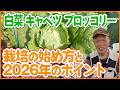 【白菜・キャベツ・ブロッコリー栽培】秋冬野菜を始めよう!2026年の栽培ポイント【シェア畑】【農園ライフ】