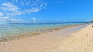 🌊Tropical Heaven: 3 Hours of Ocean Ambience From Mombasa🌴