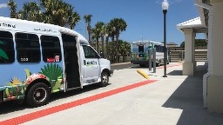 Video: New GoLine Bus hub