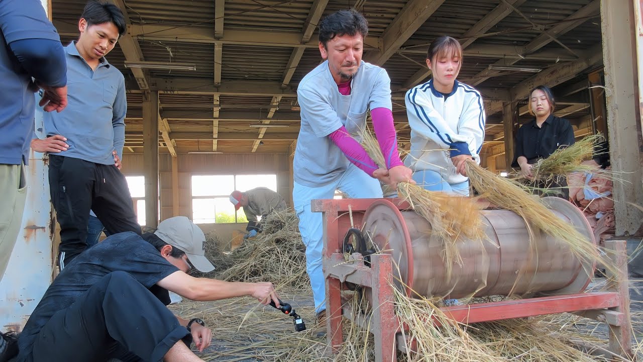 2025/10/14 第17回虫追い祭り 準備（藁すき）