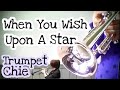 星に願いを / When You Wish Upon A Star【無伴奏トランペットソロ】(Trumpet ChieCover)