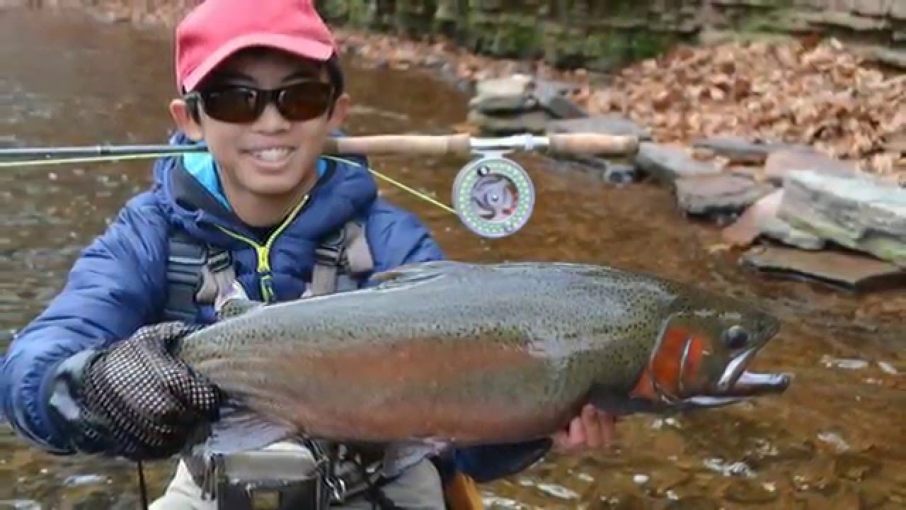 STEELHEAD PURSUIT Fly fishing for Steelhead in Upstate NY YouTube