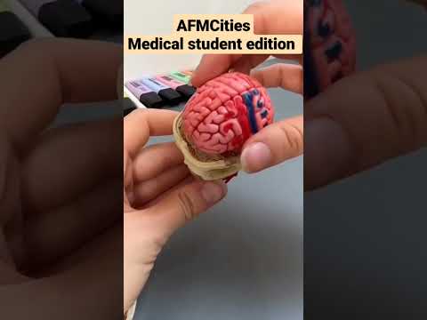 AFMC Medical students essential ll Body Anatomy Model l Life of AFMCITIES#1st day in medical College