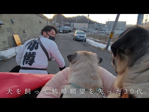 30代、未婚、彼女なし。でも愛犬と小樽に来たら沢山の出会いがあった車中泊旅