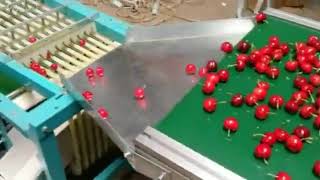 video of cherry grader