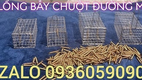 Lồng bẫy chuột đường mòn. Lồng bẫy chuột đồng. Lồng bẫy chuột đàn. Lồng bẫy chuột không cần mồi.