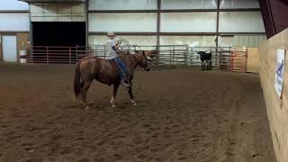 Bryce ropes lead Steer with “Ruby” Bareback