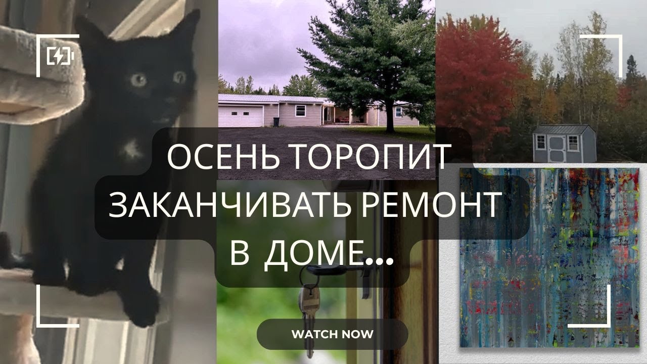 ОСЕНЬ 2024: новые двери, котик Мотя, красивая осень, продали картину 