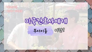 Interview With An American Nurse Colleague Who Supported The Icu Transferred To A Different Depa...