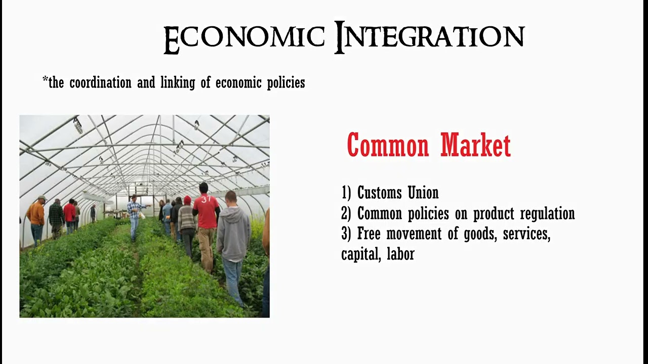 Economic Integration