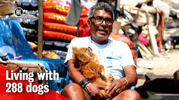 Deze man heeft 288 honden | METROPOLIS