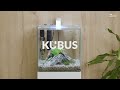 New white colour  kubus aquarium range aquarium fishtank aquariumfish aquatlantis