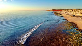 SHARK BAY | Catch and cook in the best place i've ever had dinner