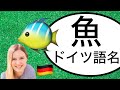 ドイツ語で魚の名前を覚えてみよう