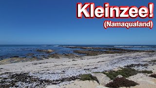 S1 – Ep 228 – Kleinzee – A Small Village on the West Coast of the Northern Cape!