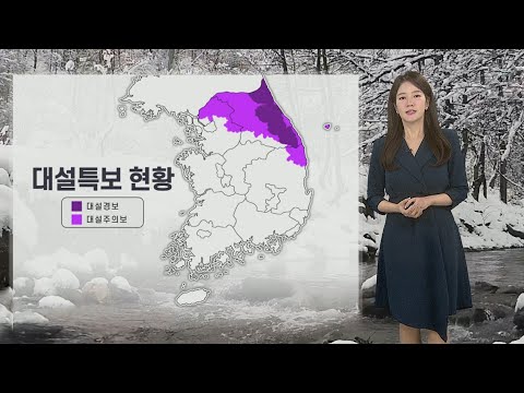 [날씨] 밤사이 중부,경북 많은 눈…영동 50cm 폭설 / 연합뉴스TV (YonhapnewsTV)