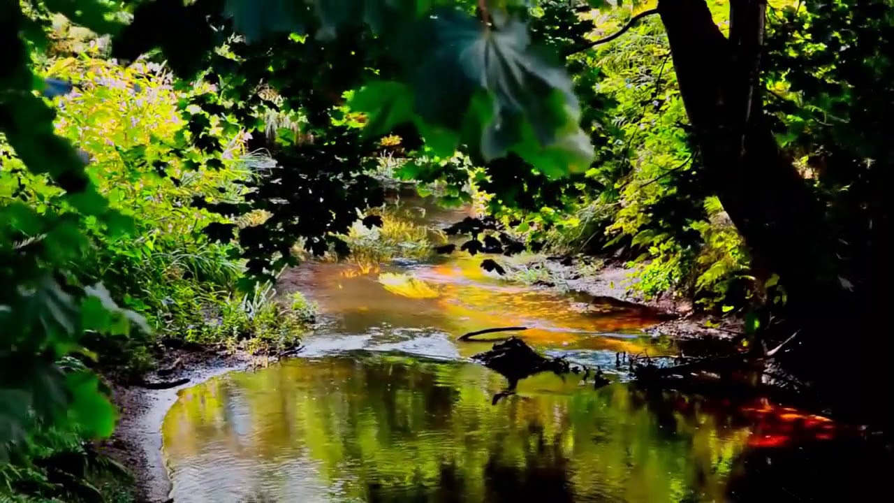 5 советов мужчинам, как избавиться от пивного живота — Статья