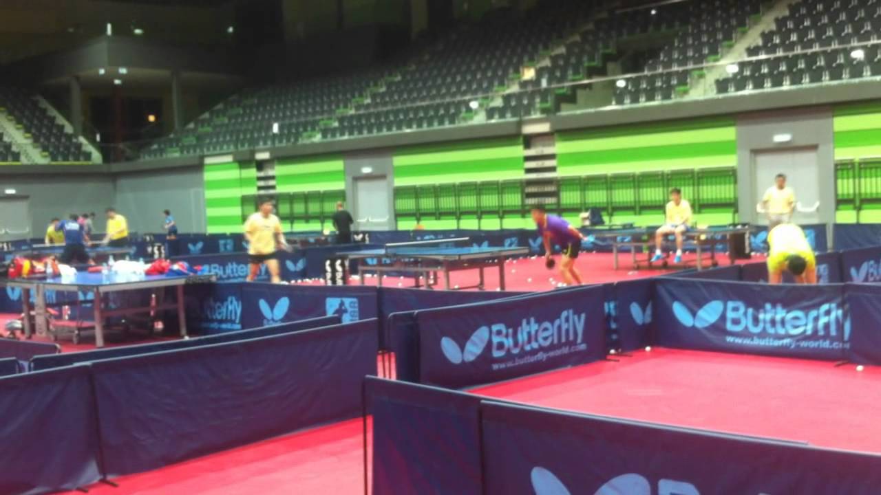 Wang Hao: Forehand Counter Training in Werner Schlager Academy 2012