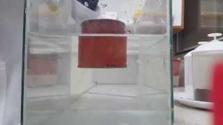 Floating box - Harmonic oscilation