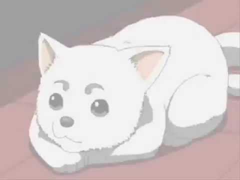 【銀魂MAD】W&B