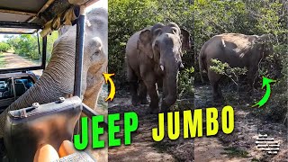 Elephant Approached a Jeep Looking for Food