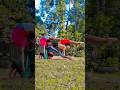 balance practice time #trending #hardworkworks #youtubeshorts #viral