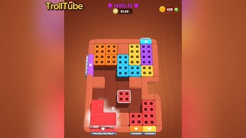 Screw Block Escape Level 22