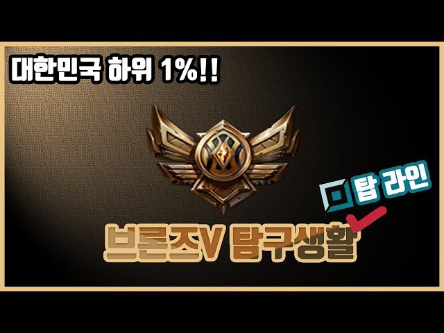 브론즈 탐구생활 - 탑라인편!