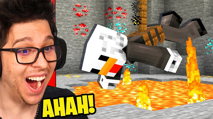 HO PORTATO BELLAFACCIA NEL MINECRAFT IMPOSSIBILE !!